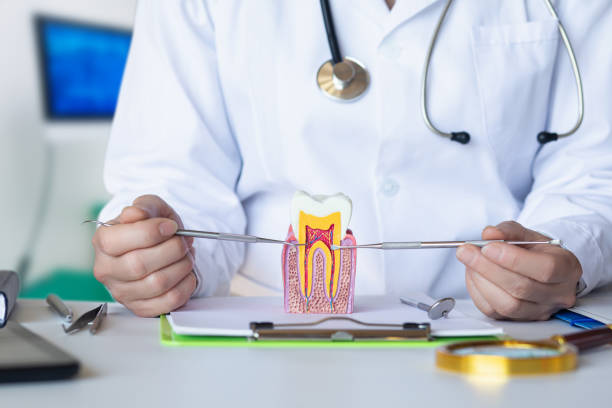 Best Emergency Dental Care for Broken or Chipped Teeth in Incline Village, NV